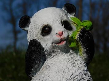 Statue Sitzender Panda - Polystone - in Farbe