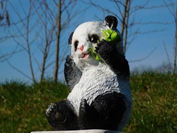 Statue Sitzender Panda - Polystone - in Farbe