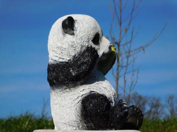 Beeld Zittende Panda - Polystone - in Kleur