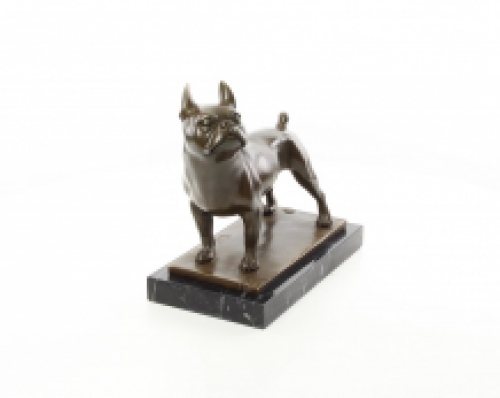 A bronze statue/sculpture of a French bulldog