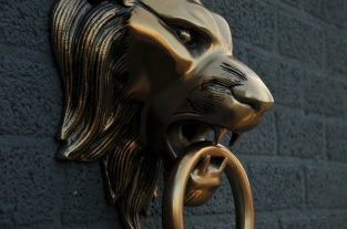 Hefty aluminum-brass color impression full lion head.