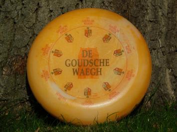 Decoratief Kaaswiel - De Goudsche Waegh Jong Belegen - Ø 35 cm