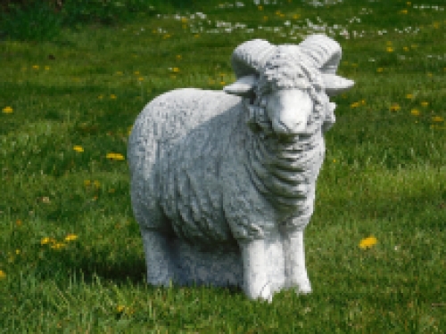 Statue Ram XL - solid stone