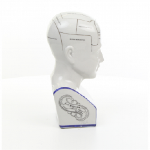 EEN PORSELEINEN PHRENOLOGY HOOFD IN BLAUW KLEURING.