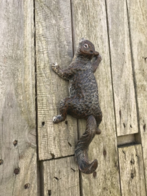 A climbing squirrel, coat rack-made of cast iron, wall decoration