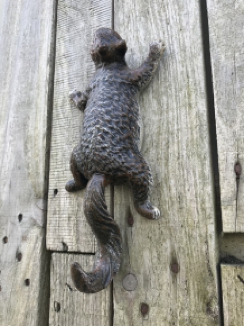 A climbing squirrel, coat rack-made of cast iron, wall decoration