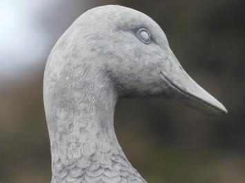 Stone duck - 37 cm - Detailed