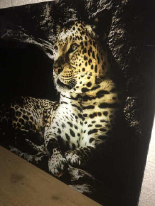 Schöne Kunst auf Glas von einem Leoparden / Panther, sehr schön!