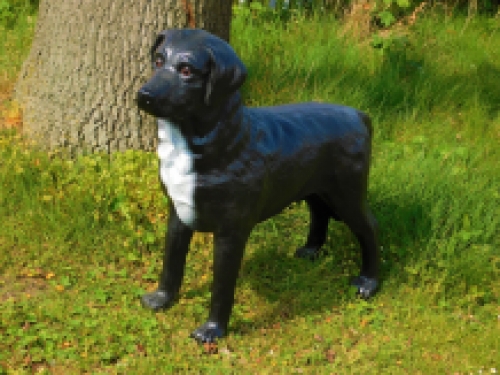 Beautiful ''Labrador Retriever'' black - from Polystone