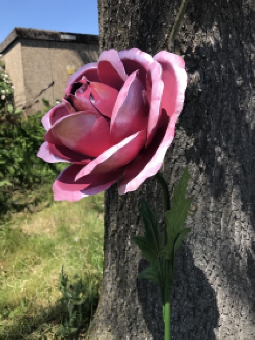 LETZTE: Ein Kunstwerk, große rosa Rose aus Metall, auf Stiel