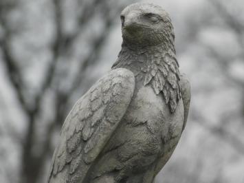 Stone goshawk - White with Grey - Animal sculpture