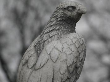 Stone goshawk - White with Grey - Animal sculpture