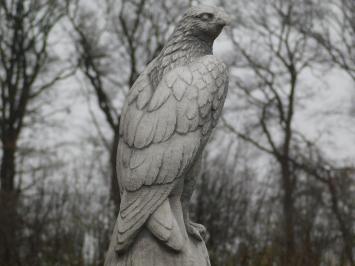 Havik van Steen - Wit met Grijs - Dierensculptuur