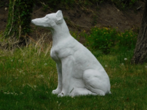 Beeld hond XXL - vol steen