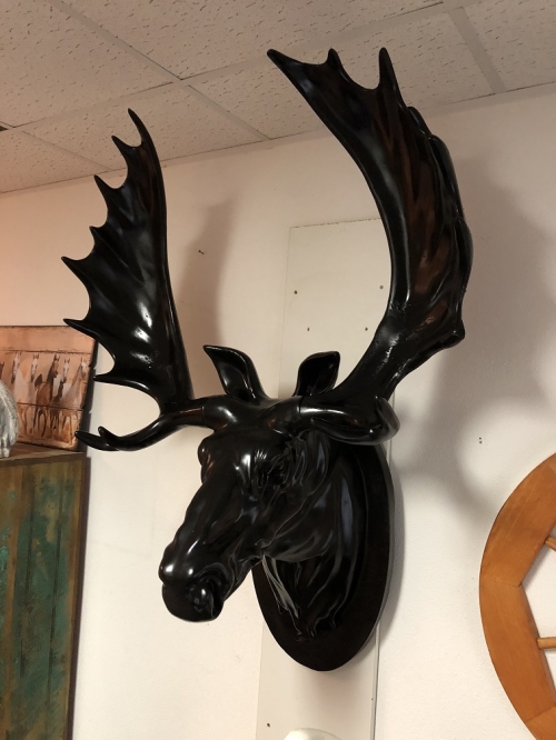 A beautiful and colossal head of a Scandinavian Elk, black.