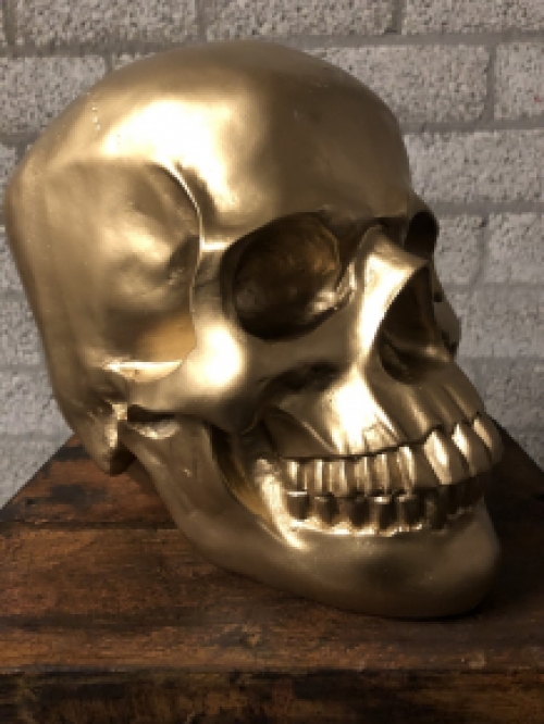 Skull-schedel, uit Polystein, gold.