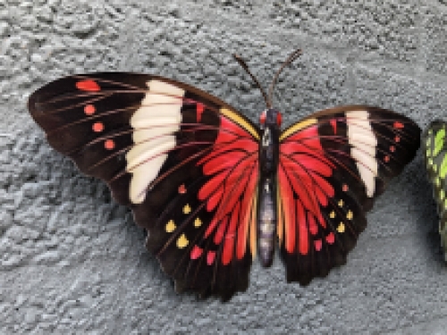 Beautiful set of wall butterflies, beautiful in color and made of metal.