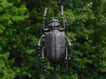 Abbey Beetle - Black - Metal - ByBoo