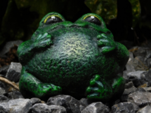 Beeld van een kikker, leuk beeldje, groen, voor binnen en buiten