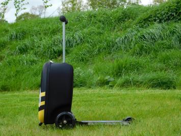 Suitcase with Step - Bee - Incl. Neck pillow