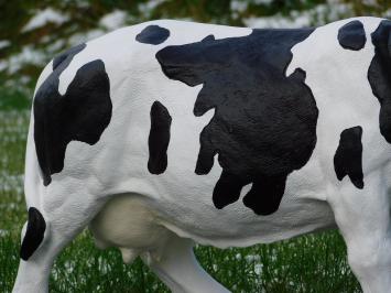 Cow with Horns - L - Polystone - Detailed