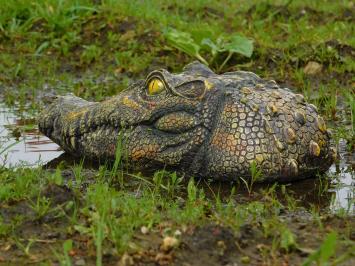 Crocodile head - 35 cm - Polystone