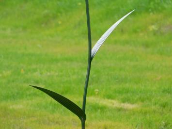 Handmade Lily - garden stick 125 cm - metal