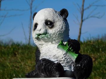 Beeld Leunende Panda - Polystone - in Kleur