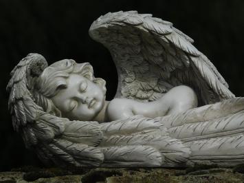 Sleeping Angel in Wings - Beige - Polystone