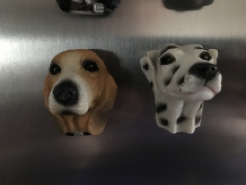 Fridge magnets, 12 dogs as a nice decoration