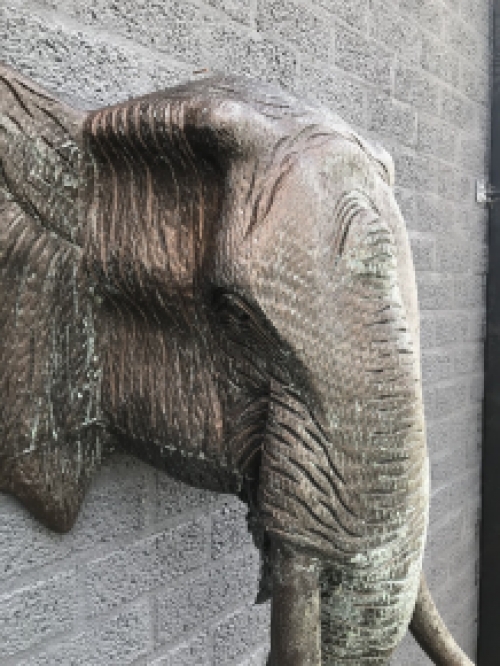 Large wall ornament of an elephant, copper look, very large!