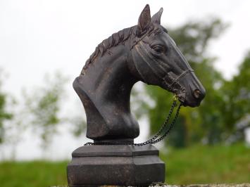 Beeld Paardenhoofd met Teugels - Polystone