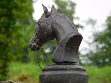 Beeld Paardenhoofd met Teugels - Polystone