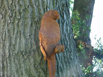 Parrot XL in Oxide - Cast iron - Wall decoration