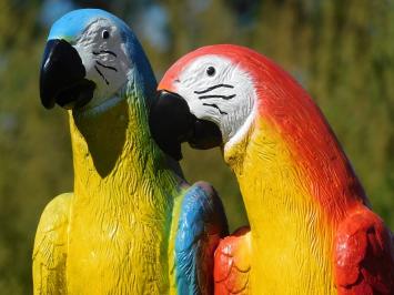 Statue Parrots on Stump - Polystone - Full in Colour