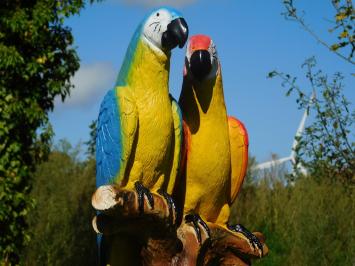 Statue Parrots on Stump - Polystone - Full in Colour