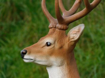 Set of 2 Deer - Small and Large - Polystone - Full in Colour