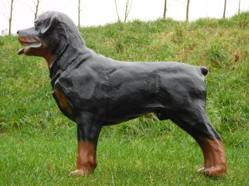 Statue Rottweiler - 80 cm - Polystone