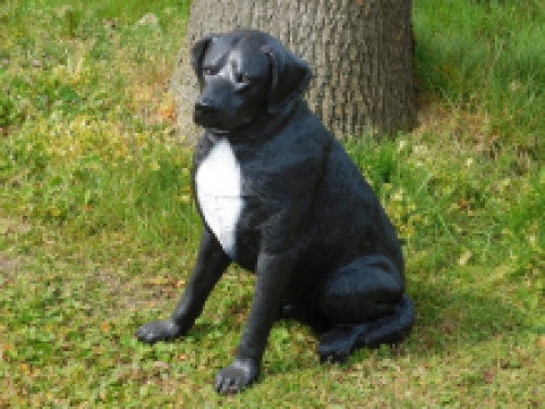 Beautiful ''Rottweiler'' black/white - from Polystone