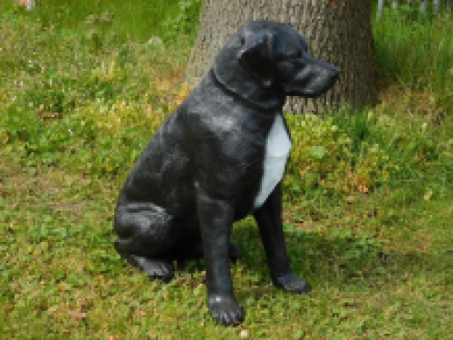 Beautiful ''Rottweiler'' black/white - from Polystone