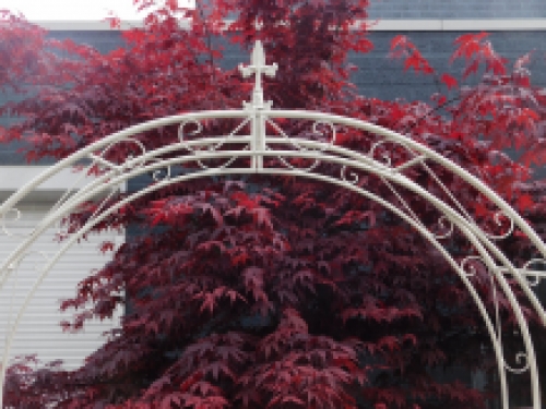 Large white rose arch as a romantic garden decoration, beautiful to see.