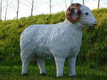 Schaap met Hoorns - 85 cm - Polystone