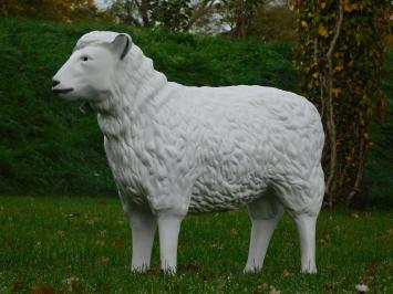 Schaap - 80 cm - Polystone