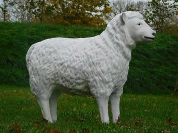 Schaap - 80 cm - Polystone