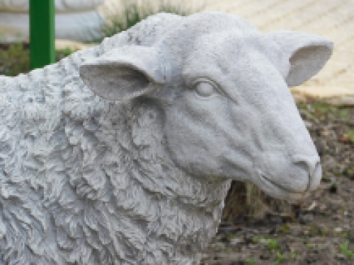 Statue Sheep XL - solid stone