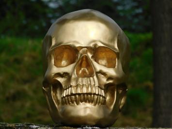 Skull - Skull - Polystone - Gold