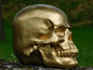 Skull - Skull - Polystone - Gold