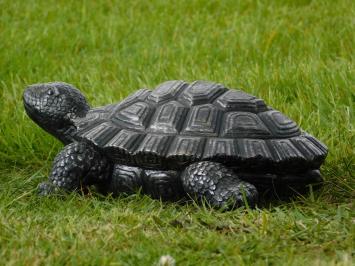 Statue turtle - 32 cm - Magnesia