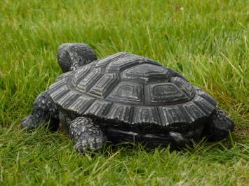 Statue turtle - 32 cm - Magnesia