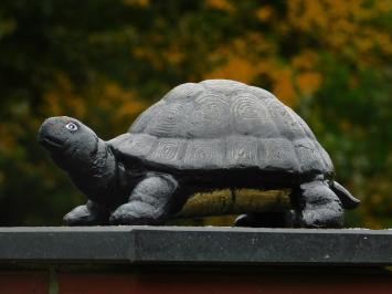 Beeld Schildpad - Gietijzer - Decoratief beeld